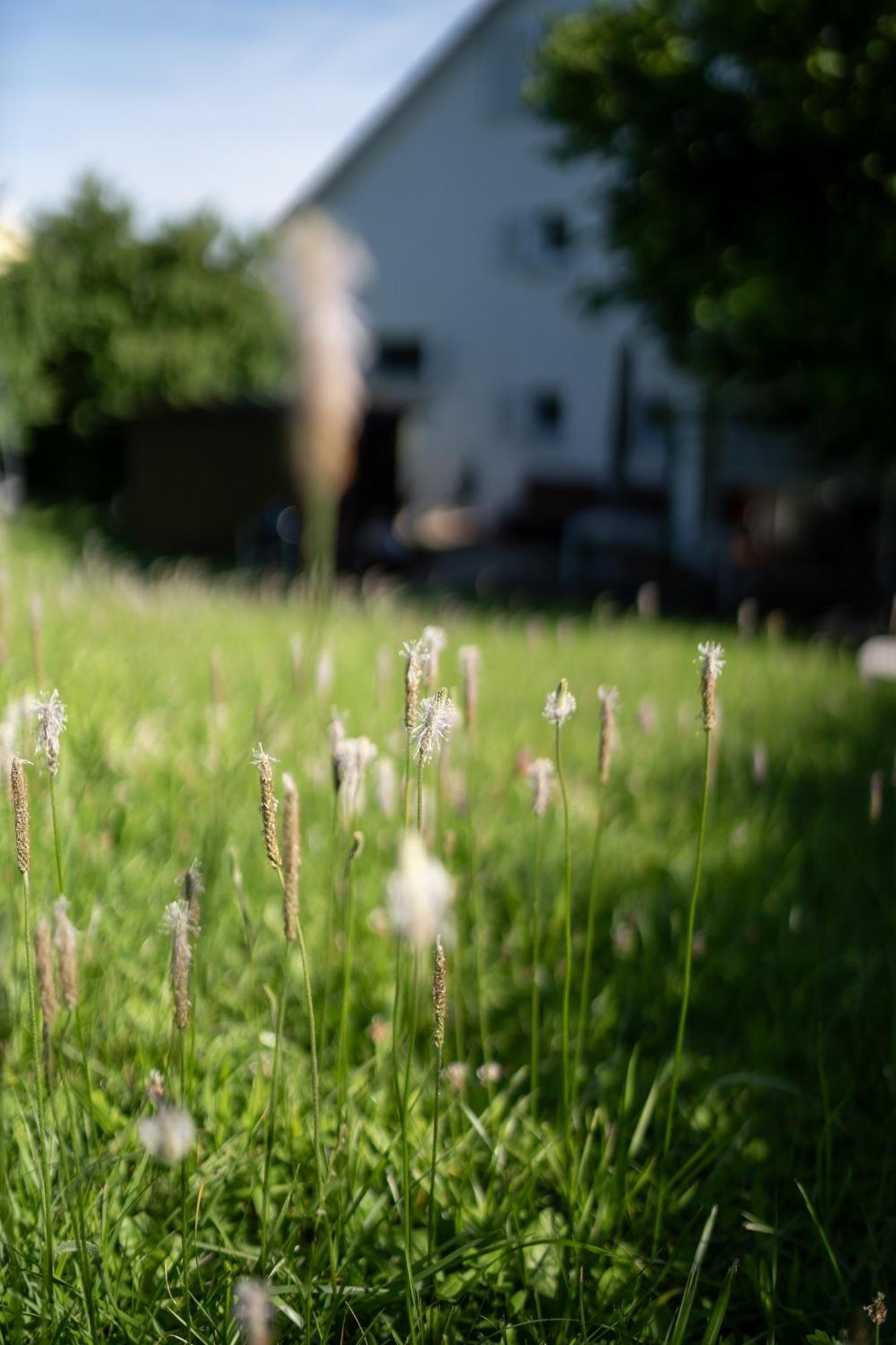 Apartament Secret Garden Busingen am Hochrhein Zewnętrze zdjęcie