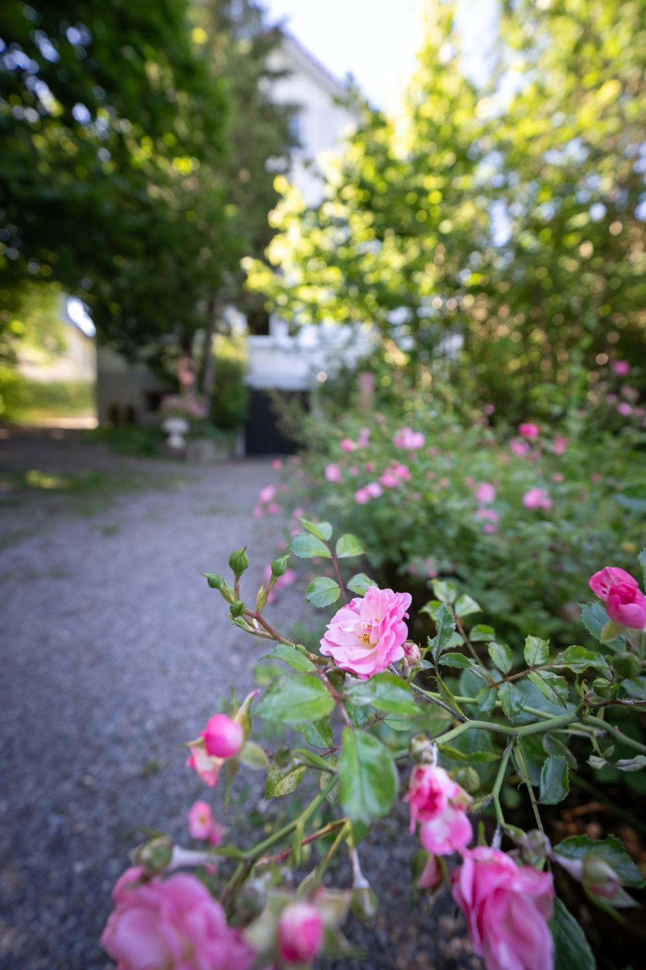 Apartament Secret Garden Busingen am Hochrhein Zewnętrze zdjęcie